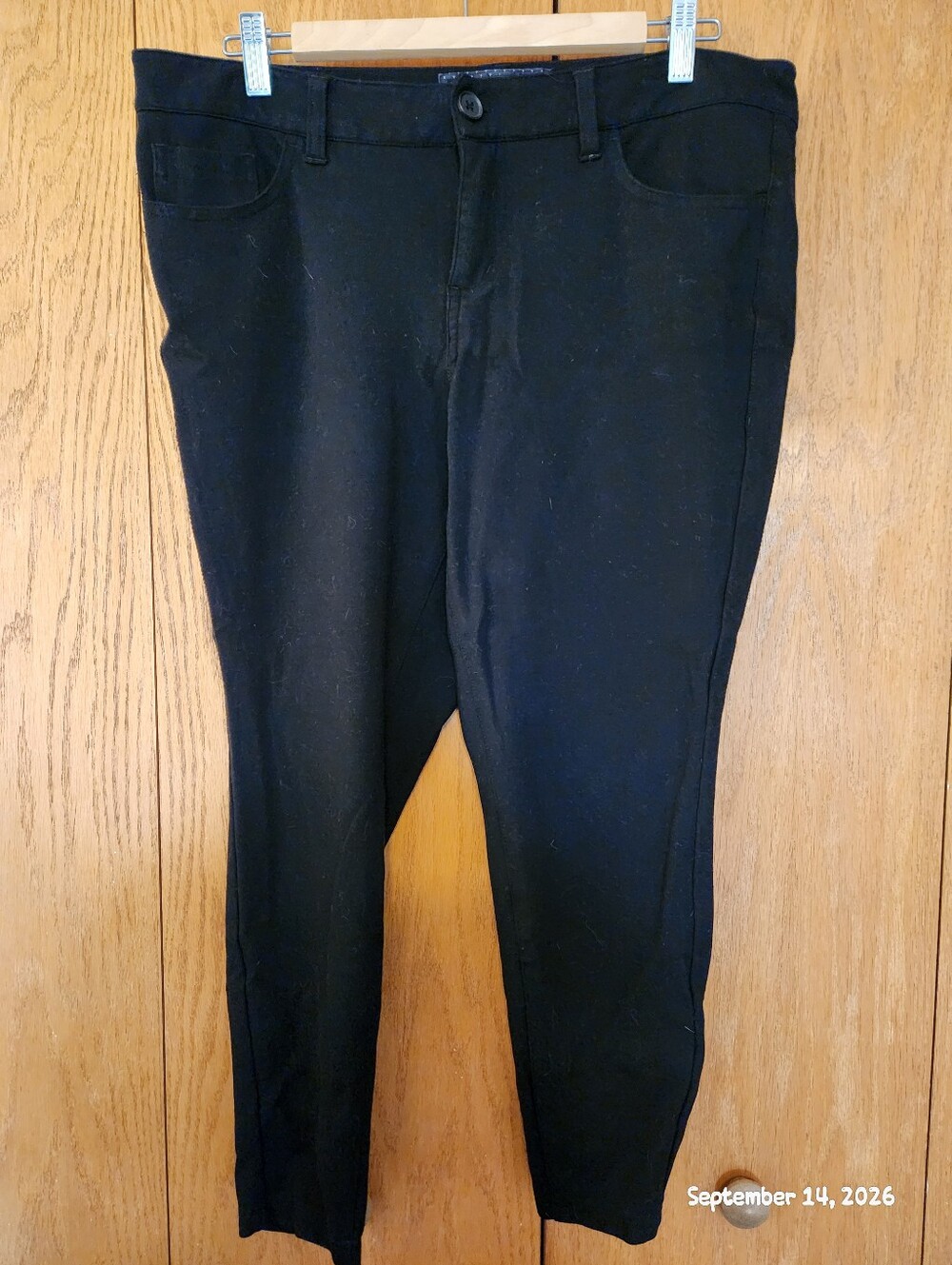Studio By Torrid Size 14S Pants